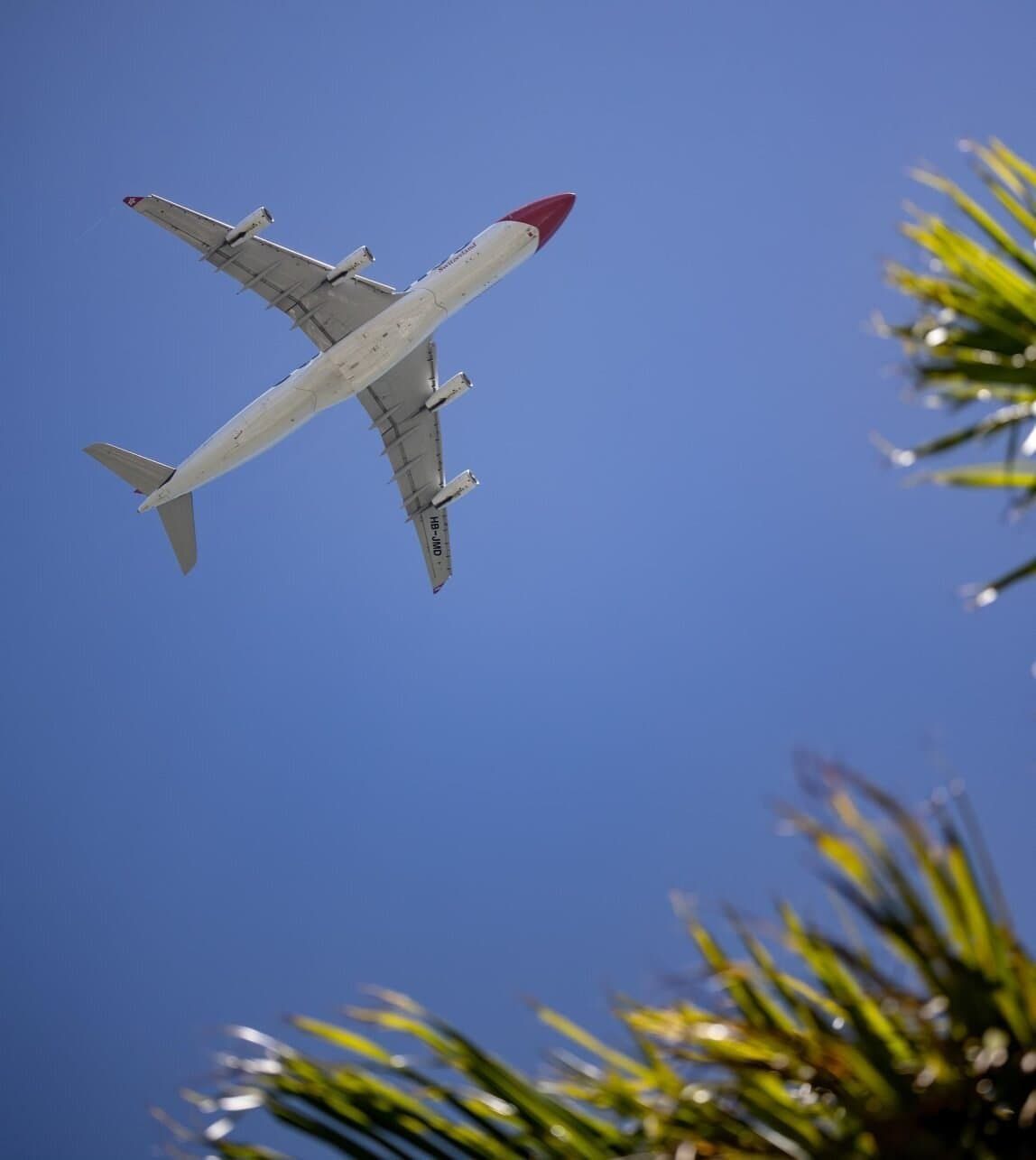 Aircraft lifting off with palm trees in the background