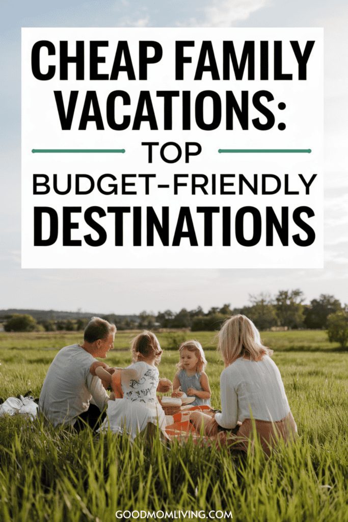 Family enjoying a picnic in a grassy field, emphasizing affordable vacation options for families