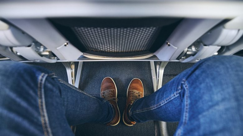 Cramped legs in an airplane seat showing limited legroom
