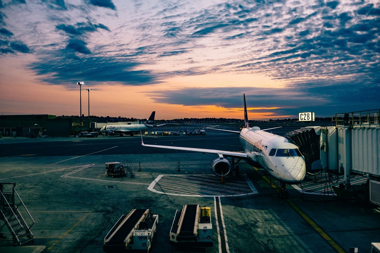 Chart of common add-on airline charges found during flight booking process