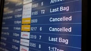 Traveler reviewing backup travel plans and schedules