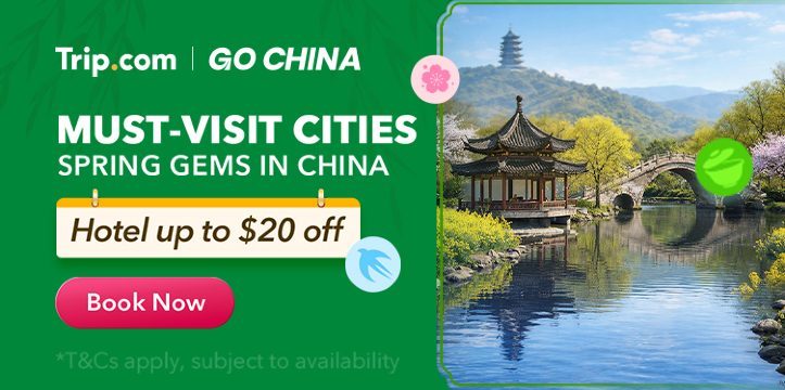 Single vs Separate Flight Tickets: Risk and Cost Math