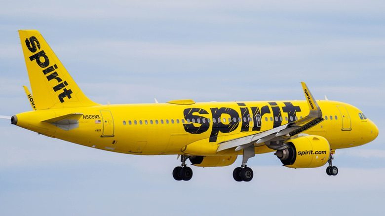 Spirit airplane on landing approach, illustrating airline-specific loyalty and perks.