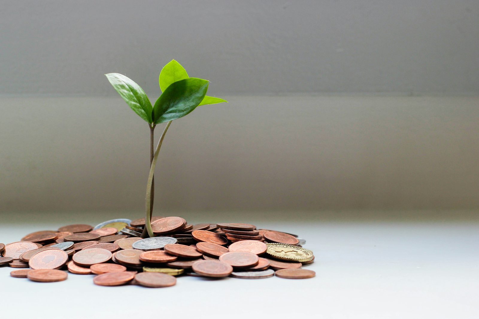 Savings and value concept