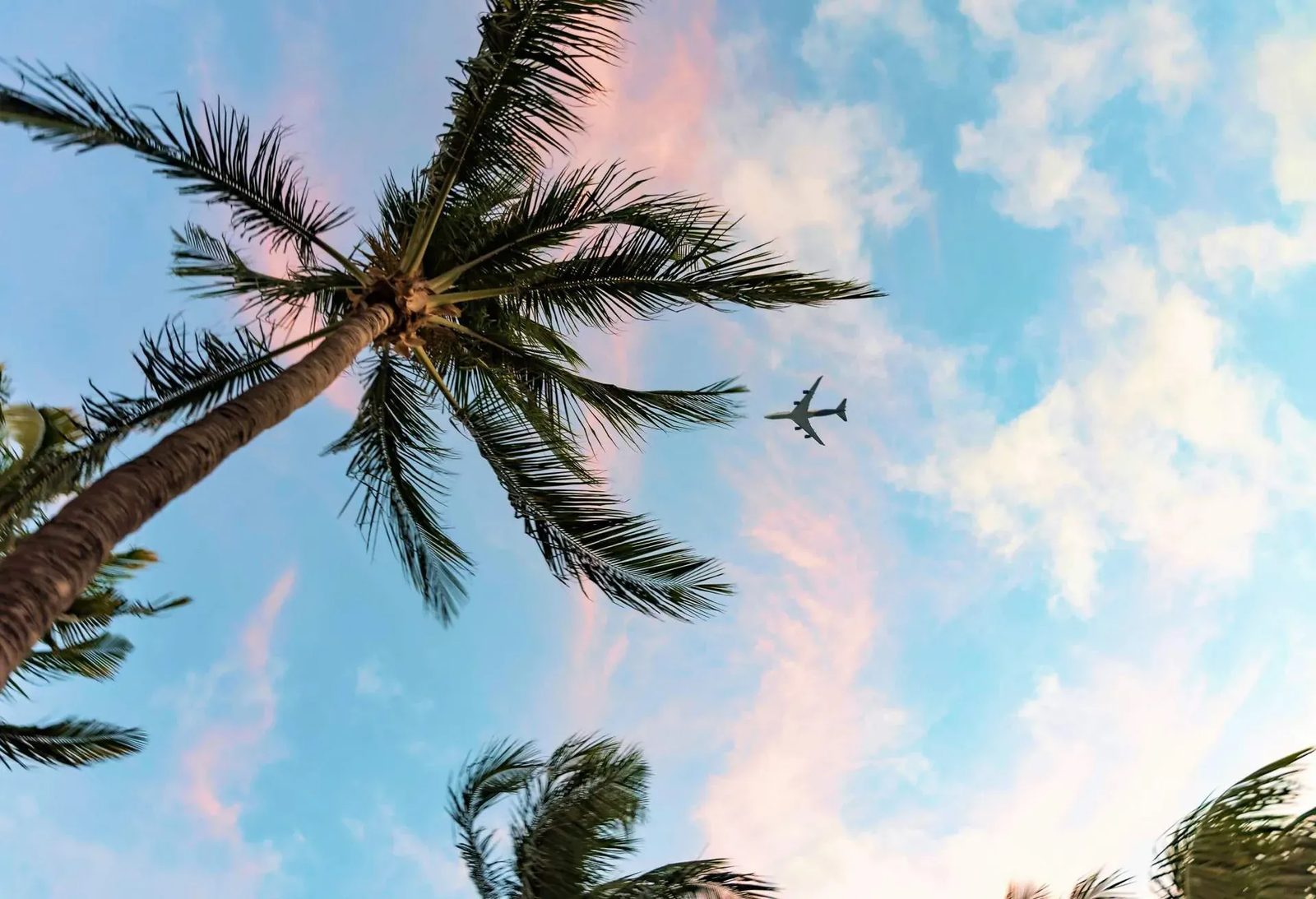 Flexible date search calendar showing cheaper and more expensive days to fly