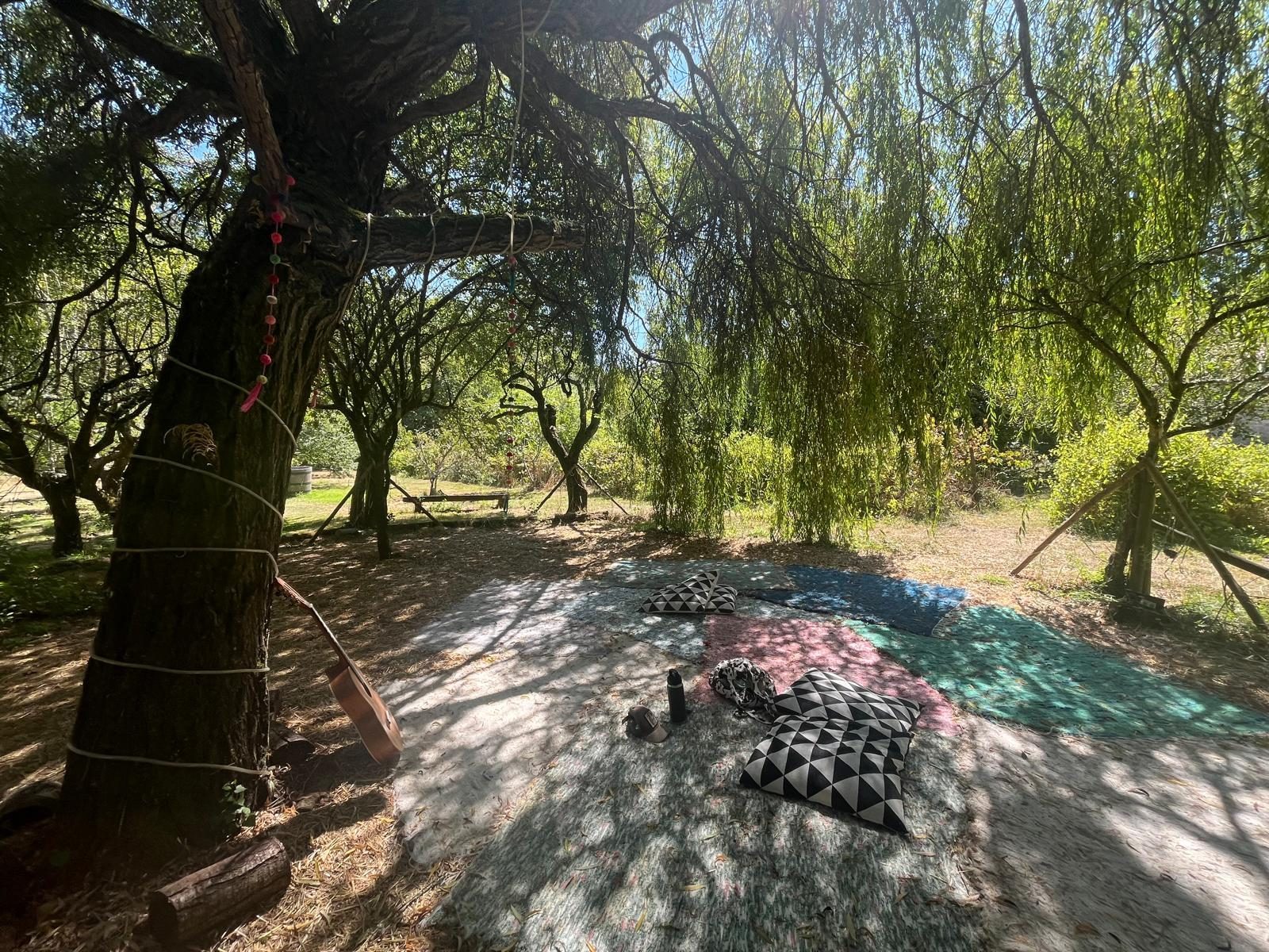 A serene outdoor space with a large tree casting shade. Colorful mats and cushions are arranged on the ground, surrounded by greenery. This area is ideal for relaxation, possibly addressing themes like burnout or stress relief.