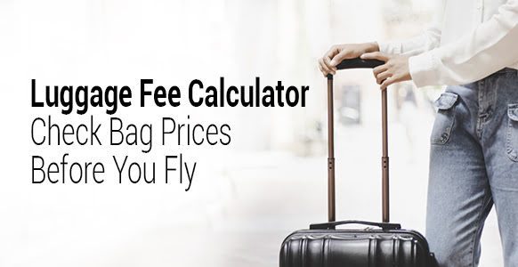 Airline baggage fees and how to build a smarter plan