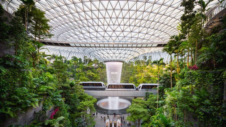 Interior of a modern airport with amenities